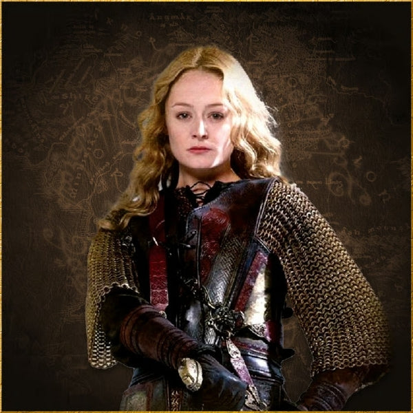 Big Sword of Eowyn LOTR Replica Sword With Display& Scabbard Viking Sword